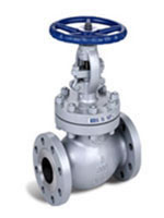 Globe Valve